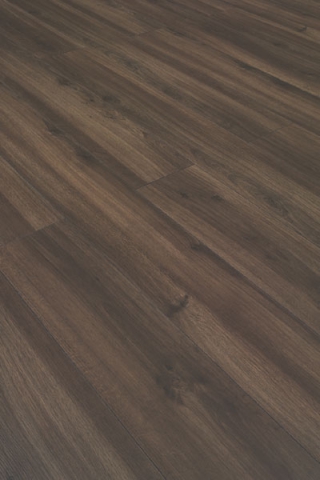Chocolate c2439