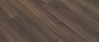 Chocolate c2439