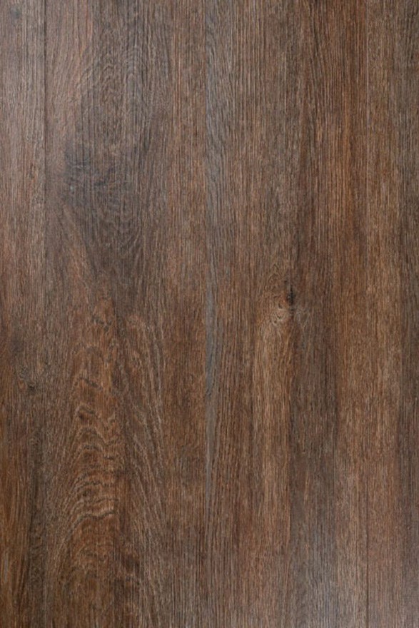 ELM