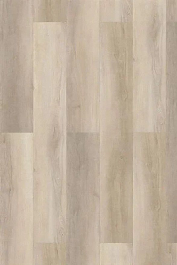 Sandalwood1