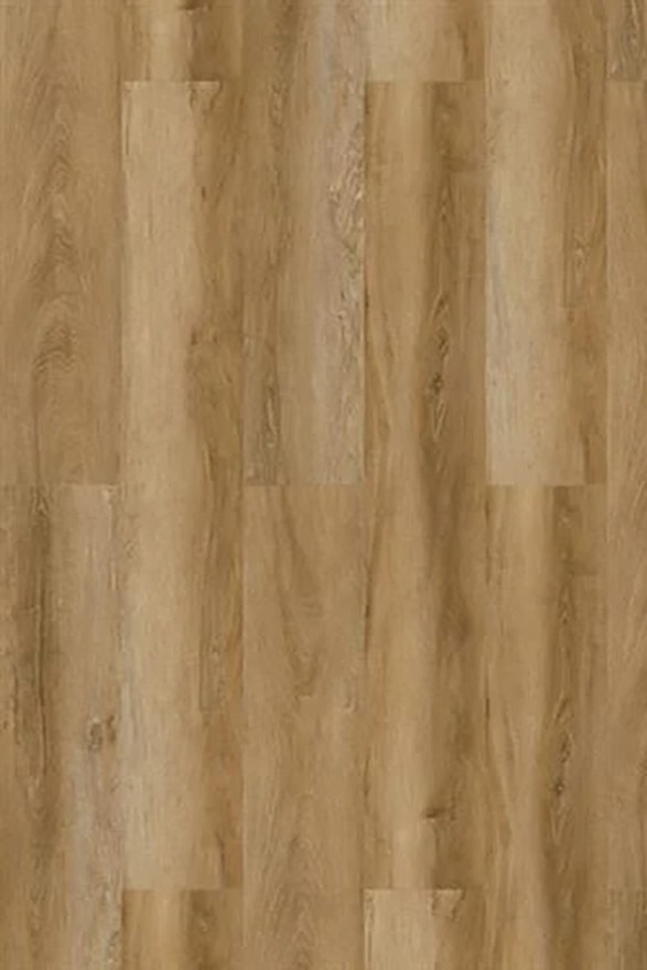oak1
